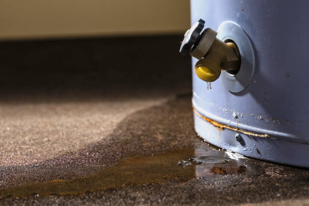 Best Professional water damage repair  in Bull Run Mountain Estates, VA