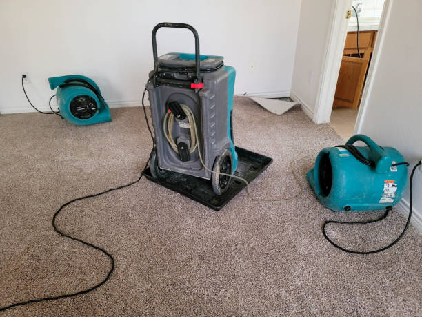 Best Flood damage cleanup  in Bull Run Mountain Estates, VA