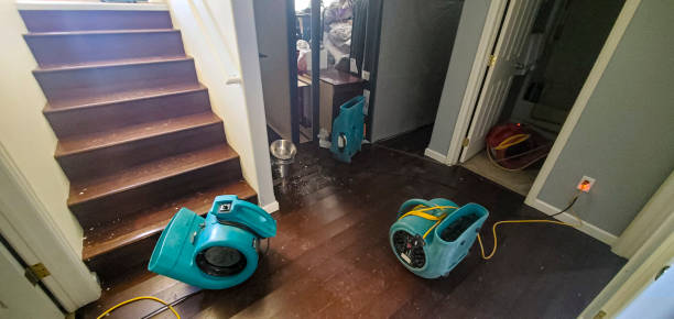 Best Mold removal after water damage  in Bull Run Mountain Estates, VA