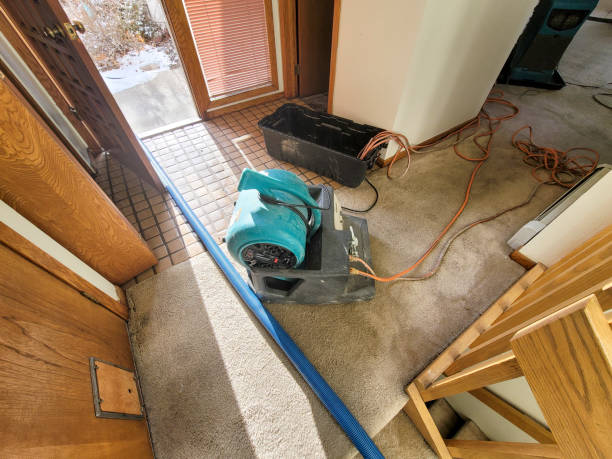 Best Carpet water damage restoration  in Bull Run Mountain Estates, VA