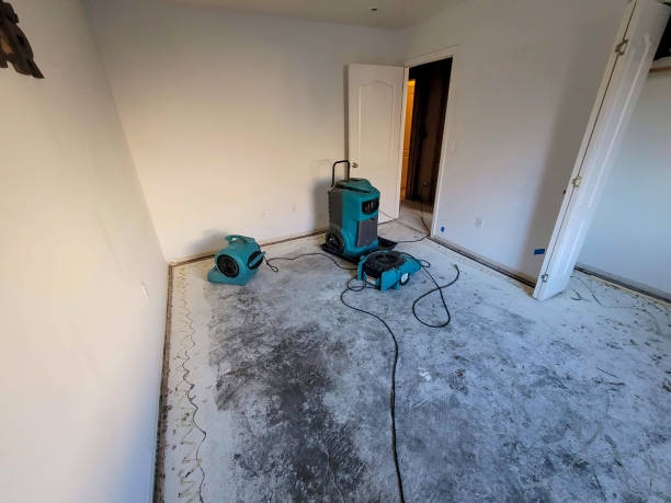 Best Flood restoration services  in Bull Run Mountain Estates, VA
