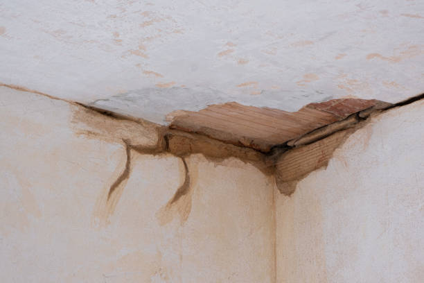 Best Sewage cleanup and water damage restoration  in Bull Run Mountain Estates, VA